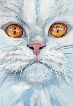 White cat portrait / 21-0002