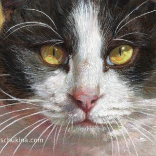 Tuxedo Cat Portrait (Cowboy)