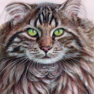 Fonzie Cat Portrait