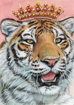Crowned Tiger portrait / 1031