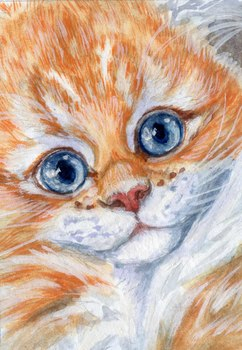 Ginger kitten / 21-0001
