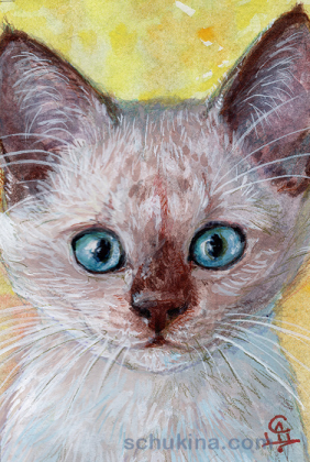 Siamese kitten / 20250009