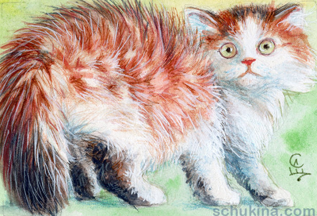 Fluffy kitty / 20250011