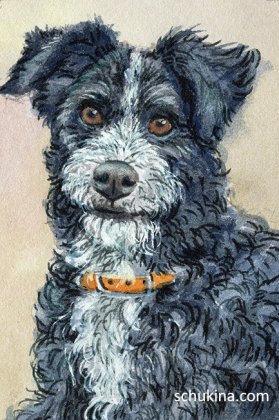 Shepherd's dog / 220150