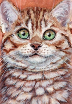 Cute Kitten / 210022