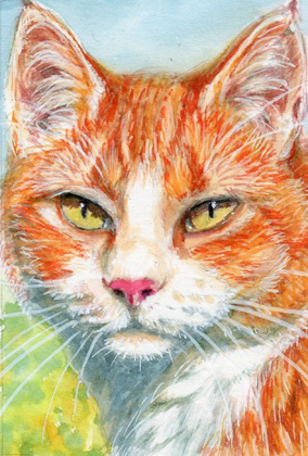 Ginger Cat  / 220055