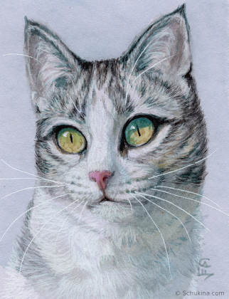 Tabby Kitty / 210117