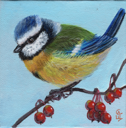 Blue Tit / 210130
