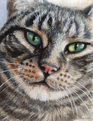 Tabby Cat Portrait / 220210