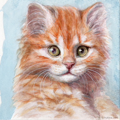 Ginger Kitten / 220217