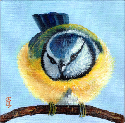 Blue Tit / 220005