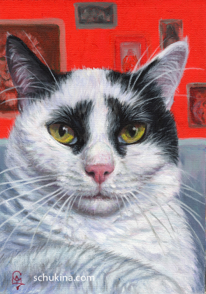 Pikasso - painter's kitty