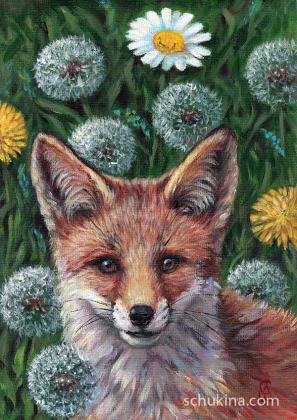 Fox & dandelions / 230113