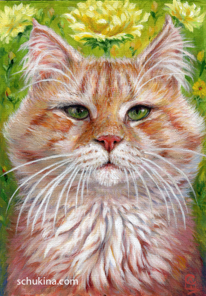 Ginger sunny cat / 230115