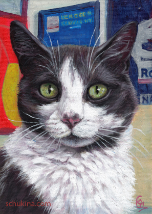 Fanfan kitty / 230116