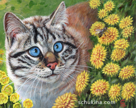 Ojos Azules cat & Bee / 230122