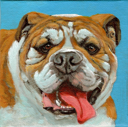 English Bulldog / 220006