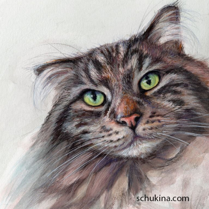 Furry cat, Fonzie portrait / 230052