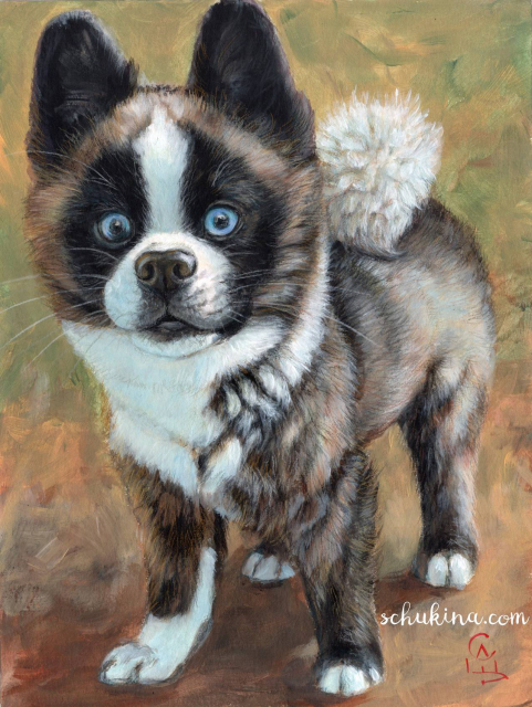 The Incredible Angelo | 260015