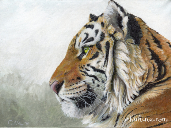 Tiger Profile | 060001