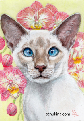 The Treasures of Siam / 250052