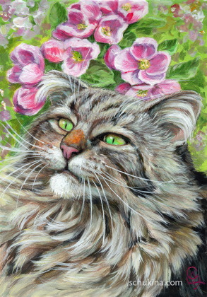 Fonzie among spring flowers / 20250044