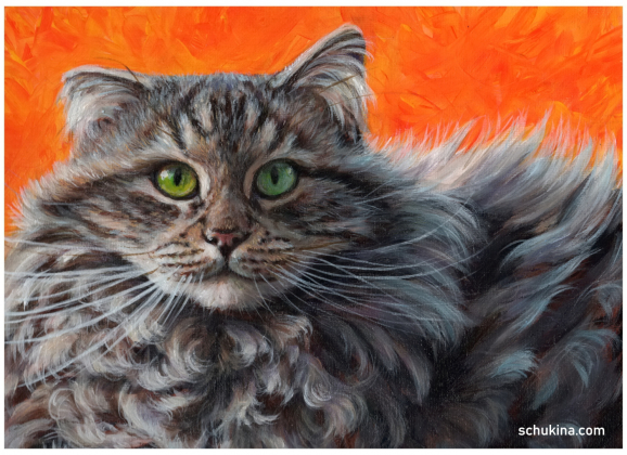 Fluffy cat Fonzie in orange / 260001