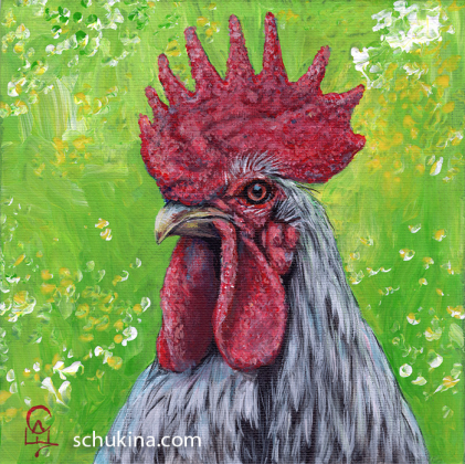 Rooster portrait / 240023