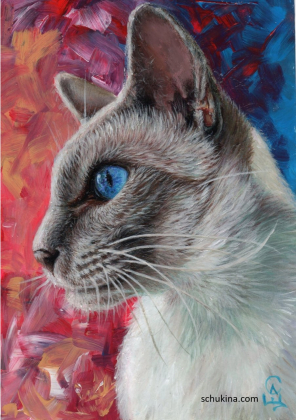 Siamese cat profile  | 260002