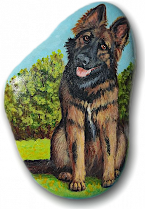German Shepherd / PS 22-1