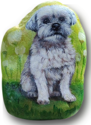 Little dog / PS 21-3