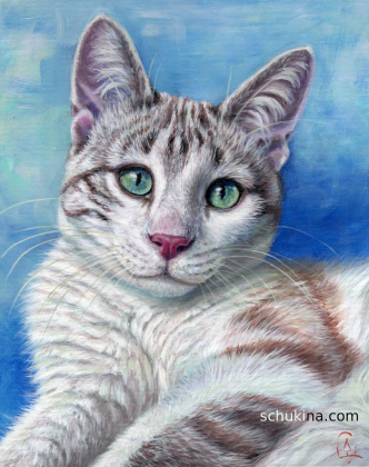 Tenderness in Aslo's Eyes / 260017
