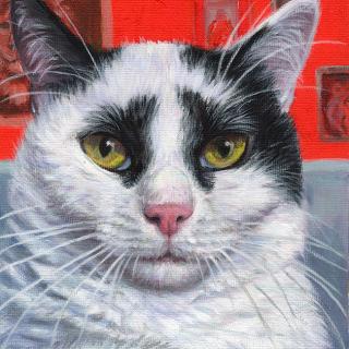 Pikasso Painters Kitty
