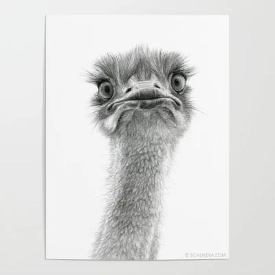 Cute Ostrich